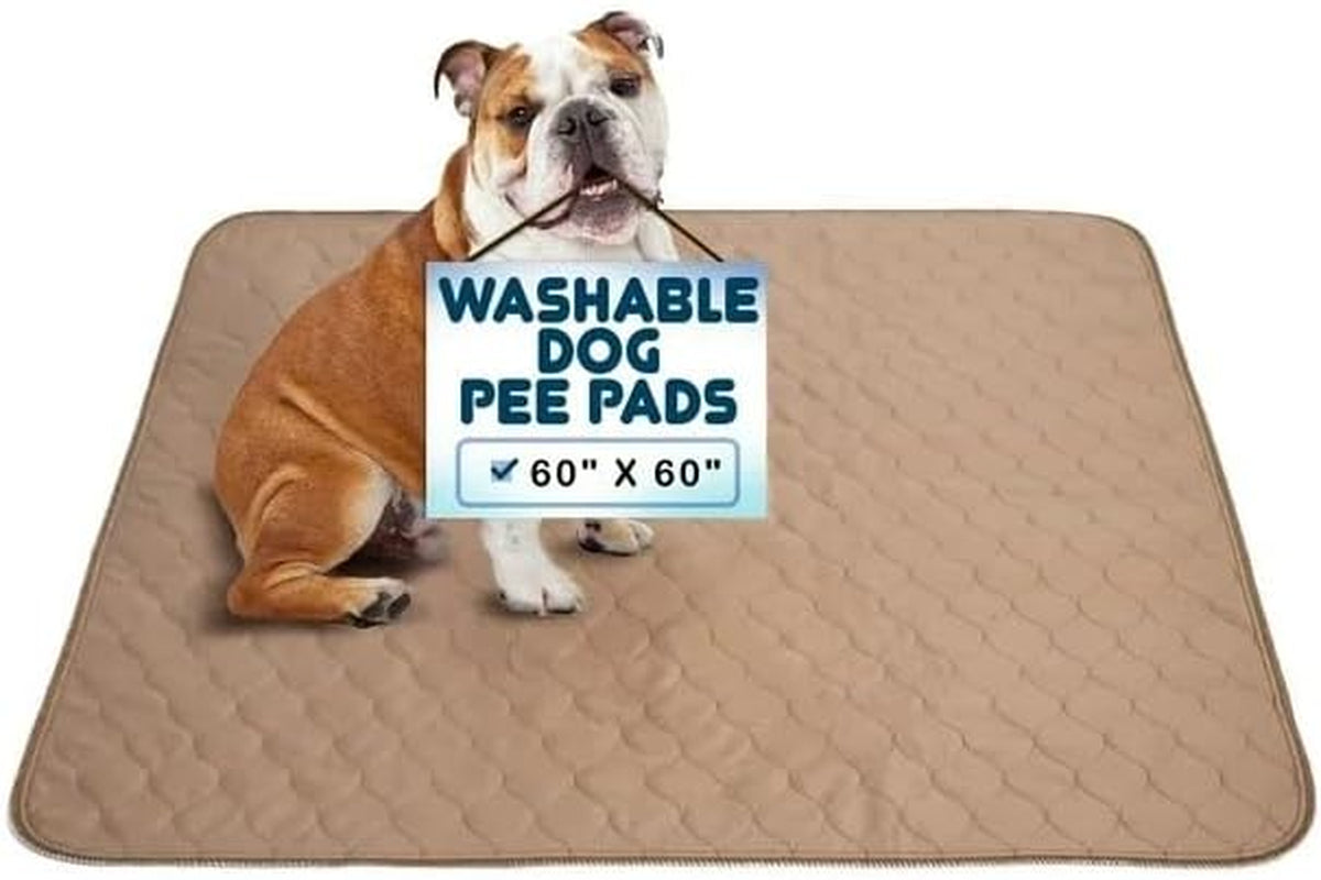 Premium Reusable Dog Training Pads - Waterproof, Washable, and Durable with Rounded Corners - Ideal for Puppy Training and Whelping - 60" x 60