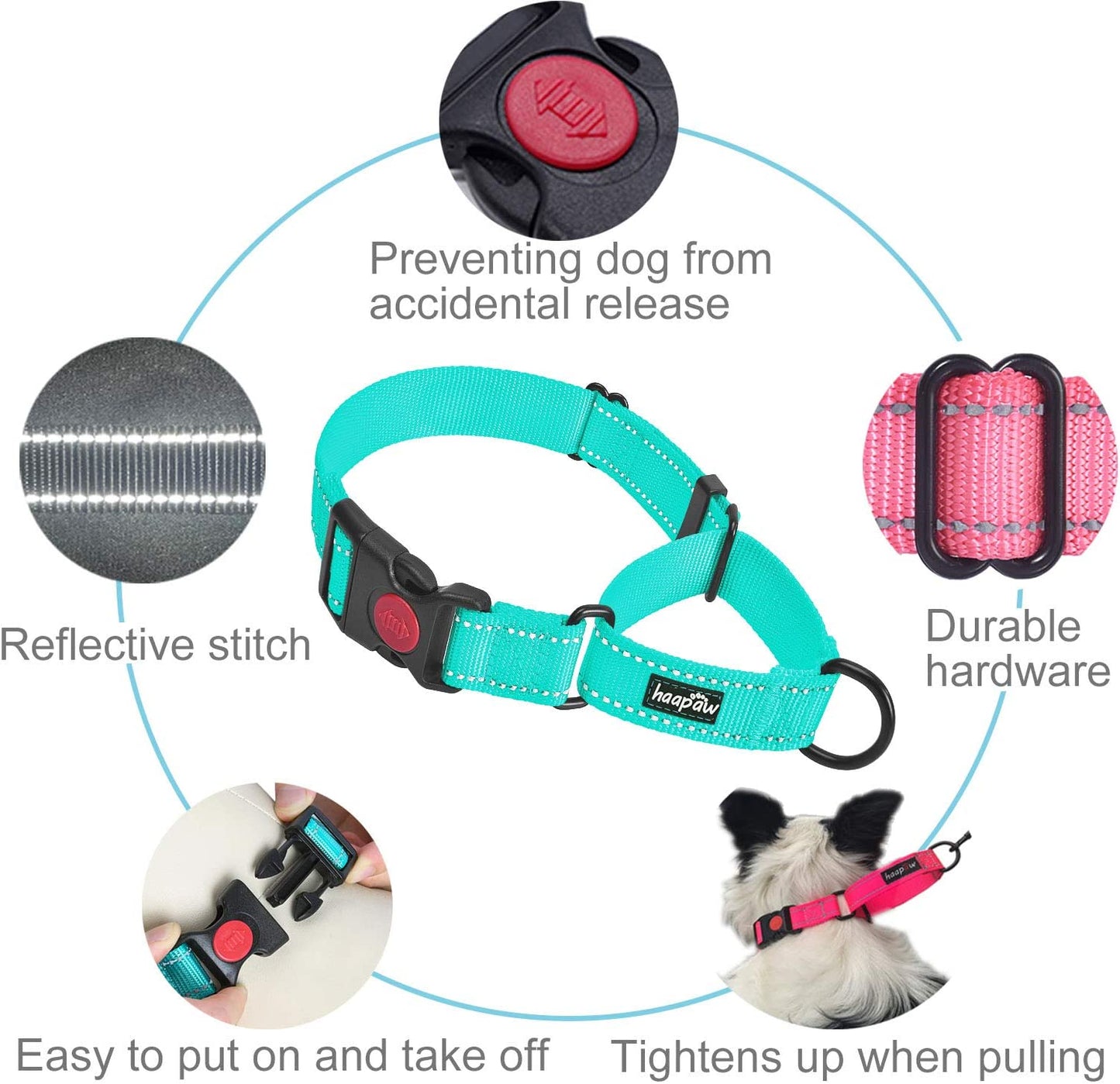 2-Pack Reflective Martingale Dog Collars with Quick Release Buckle for Small, Medium, and Large Dogs