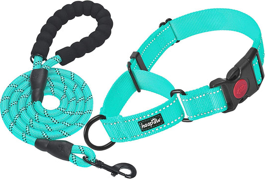 2-Pack Reflective Martingale Dog Collars with Quick Release Buckle for Small, Medium, and Large Dogs