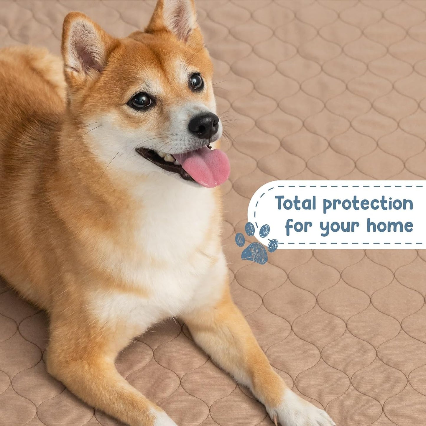 Premium Reusable Dog Training Pads - Waterproof, Washable, and Durable with Rounded Corners - Ideal for Puppy Training and Whelping - 60" x 60