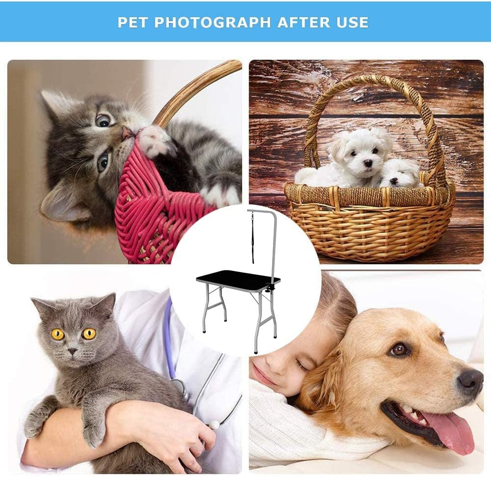 Dog Grooming Table Adjustable Pet Grooming Table Heavy Duty Cat Grooming Table Portable Master Equipment Grooming Table with Arm/Noose, Professional Drying Table for Dogs, Cats